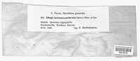 Image Associated With the Occurence